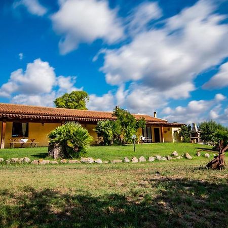 Agriturismo Carrucana Martis Exterior foto
